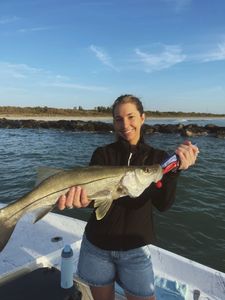 Beautiful Snook caught near the jetty!