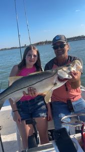 A big snook caught while fishing in Port Canaveral