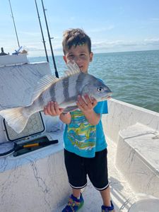 Angler catching a black drum fish in Florida