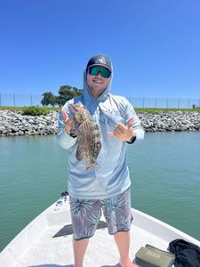 A black grouper fish measuring 12 inches, caught while fishing in FL.