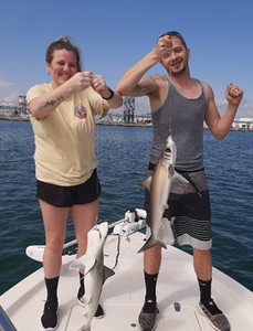 Bonnethead shark caught while fishing in FL