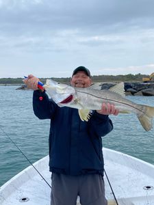 Big Snook—pure grit!