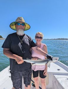 Dusky Smooth-Hound, a 17-inch fish, caught at Port Canaveral