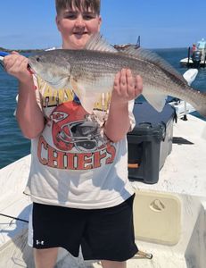 Chunky Redfish—powerful catch!