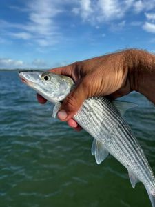Fishing at the scenic Port Canaveral