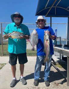 Snook and Florida Pompano, big fish caught at Port Canaveral while fishing