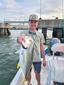 Crevalle jack caught fishing in Port Canaveral FL from boat near bridge
