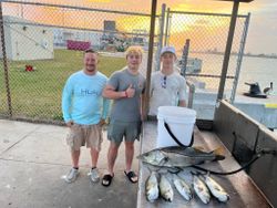 Fresh caught snook and bluefish displayed on cleaning station at Port Canaveral FL fishing dock
