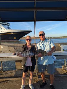 Two sheepshead fish caught while fishing in FL