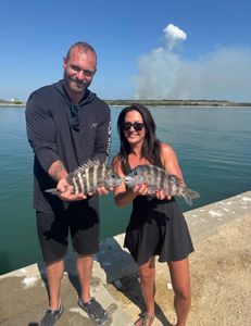 Two sheepshead fish caught during a fishing trip in Florida