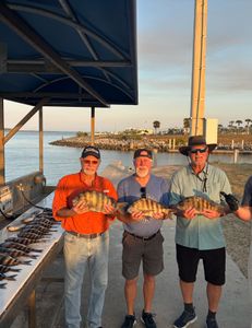 Two sheepshead fish caught in Port Canaveral