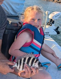 Sheepshead fish caught in Port Canaveral