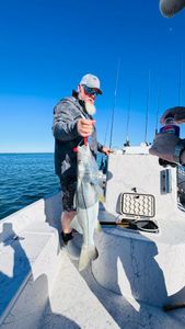 Snook fish caught by person at Port Canaveral
