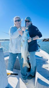 Snook, a 27-inch fish, caught while fishing in Port Canaveral