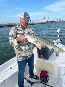 A snook caught while fishing in Port Canaveral