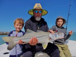 Snook fish caught while fishing in FL