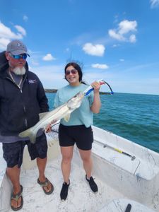 Snook fish caught while fishing in FL