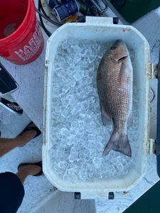 Amazing fishing trip at Port Canaveral