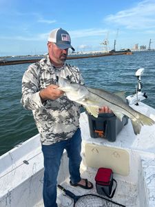 Snook fishing in FL