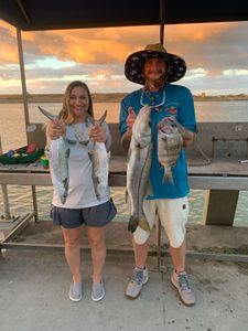 Three snook fish caught in Port Canaveral