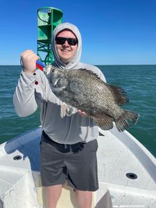 Tripletail fish caught in FL