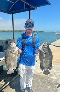 Two tripletail fish caught in FL