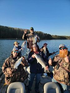 Top Allatoona Fishing Guide