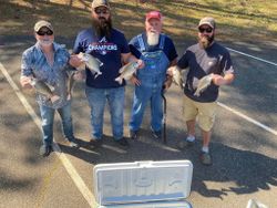 Lake Allatoona Best Crappie Fishing Guide