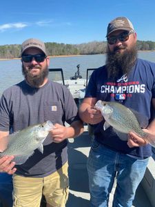 Quality Crappie Fish in Georgia