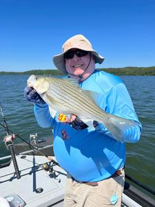 Hooked a Nice Striped Bass in Lake Allatoona 