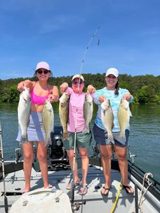 Lake Allatoona's Striper Fishing Trip