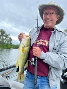 Joined a Top Guided Fishing Trip in Lake Allatoona