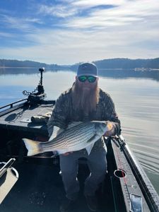 Lake Allatoona: Where fishing dreams come true