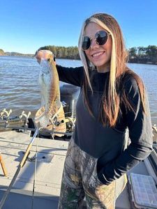 Fun Morning Fishing in Lake Allatoona