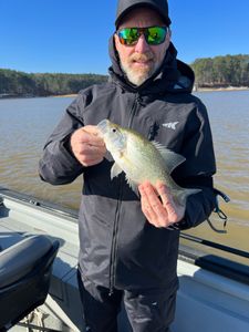 Fish more, worry less at Lake Allatoona