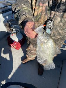 Lake Allatoona, where fishing dreams are made