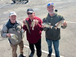 Lake Allatoona: The perfect fishing getaway