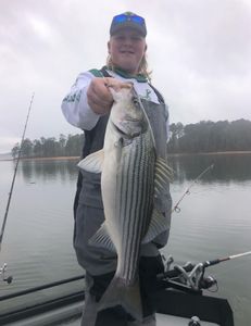 Fishing for Stripers in Lake Allatoona