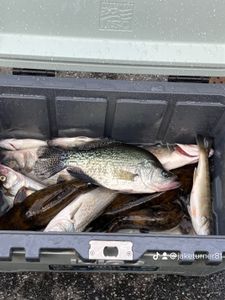 Fishing with a view at Lake Allatoona