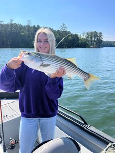 The best Bass is the one at Lake Allatoona