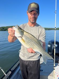 Bass Fishing bliss at Lake Allatoona