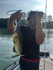 Finding peace on Lake Allatoona’s waters