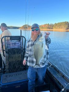 Stripers in Lake Allatoona