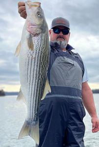 Excellent Fishing in Lake Allatoona