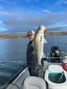 Lake Allatoona' Top Bass Fishing Charter