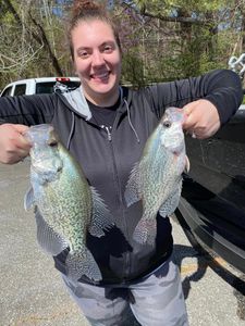 Lake Allatoona's Crappie Fishing Charter