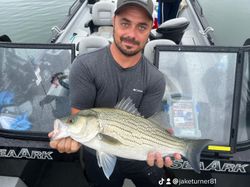 Striped Bass Fishing in Lake Allatoona