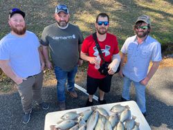 Casting into peace at Lake Allatoona