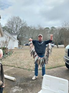 Lake Allatoona, the place where anglers thrive