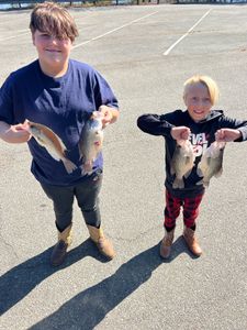 Lake Allatoona: My fishing paradise.